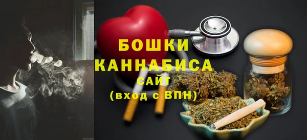 шишки Баксан